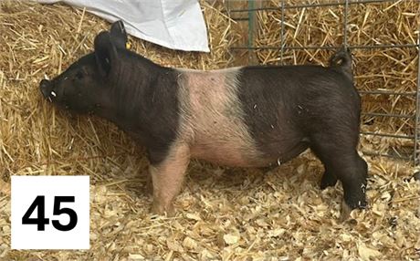 Lot 45 | Barrow | Hampshire Cross