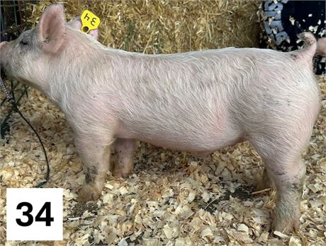 Lot 34 | Barrow | Yorkshire Cross